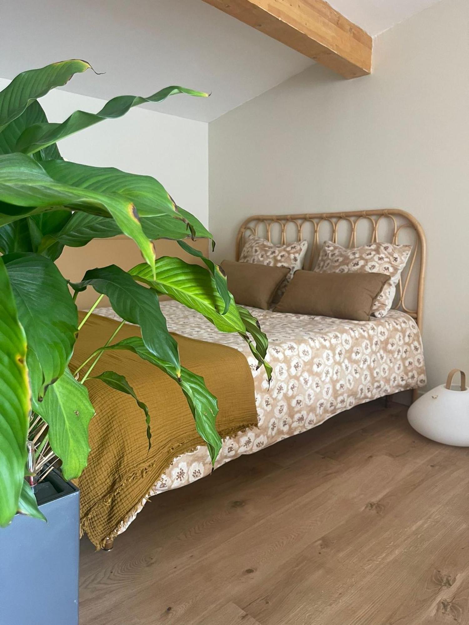 Cosy Apartment *